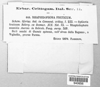 Image Associated With the Occurence